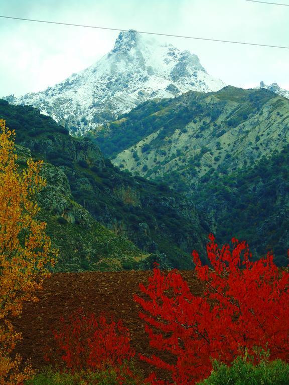 Apartamentos Turisticos Cumbres Verdes La Zubia  Exteriér fotografie