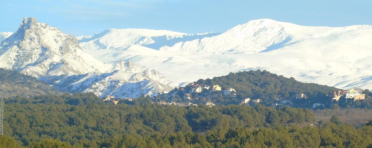 Apartamentos Turisticos Cumbres Verdes La Zubia  Exteriér fotografie